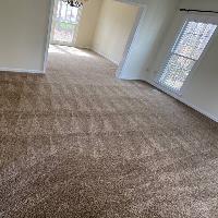 Absolute Carpet Cleaning image 2