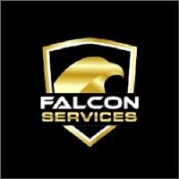 Falcon Services image 1