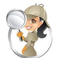 Dirt DetectiDirt Detective Cleaningve Cleaning image 1
