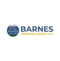 Barnes Insurance Agency LLC image 2