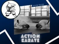 Action Karate Parkwood image 1