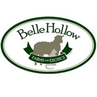 Belle Hollow Farms & Exotics image 2