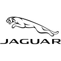 Cole European Jaguar image 1