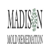 Madison Mold Remediation image 1