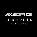 European Auto Glass logo