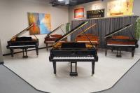 Piano Gallery image 2