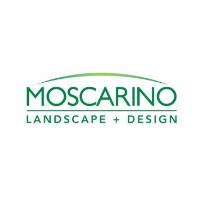 Moscarino Landscape + Design image 2