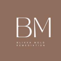 Blixxa Mold Remediation image 1