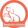 Amazing Goldens logo