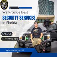 Pinnacle Security Services image 1
