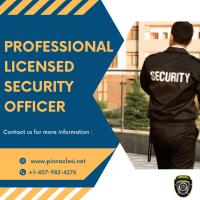 Pinnacle Security Services image 2