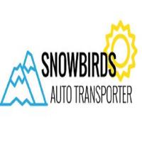 Snowbirds Auto Transporter image 4