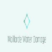 Maillarde Water Damage image 1