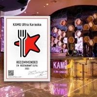 KAMU Ultra Karaoke image 3