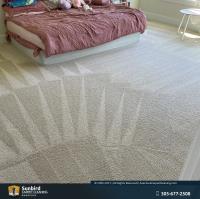 Sunbird Carpet Cleaning Aventura image 8