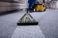 Spotz Deep Clean Carpet image 4