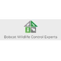 Bobcat Wildlife Control Experts image 1