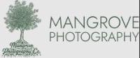 Mangrove Photography image 1