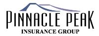 Pinnacle Peak Insurance Group image 1