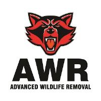 Advanced Wildlife Removal image 1