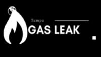 Gas Leak Repair Tampa FL image 1
