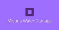 Mizuna Water Damage image 2