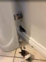 Devan Plumbing Service image 5