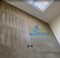 BIGGEST LITTLE CARPET CLEANERS image 5