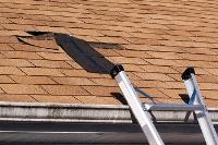 Jacksonville Roofing & Roof Repair image 2