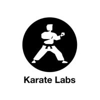 Karate Labs image 1