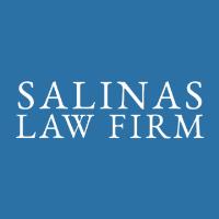 Salinas Law Firm - Immigration Lawyer in Houston image 1