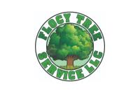 Flocy Tree Service image 1