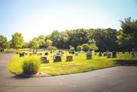 Holy Cross Cemetery & Mausoleum image 7