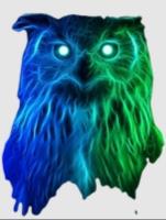 Night Owls Razors image 1