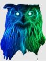 Night Owls Razors logo