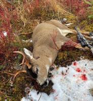Alaska Hunting Guide Pros, Duck Hunts image 3