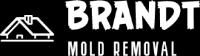 Brandt Mold Removal & Restoration image 1