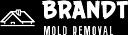 Brandt Mold Removal & Restoration logo