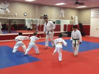 Bill Taylor's Bushido School of Karate image 4