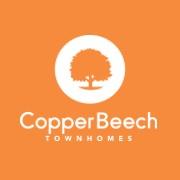 Copper Beech Greenville image 1