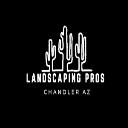 Landscaping Chandler AZ logo