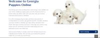 Georgia Puppies Online image 4