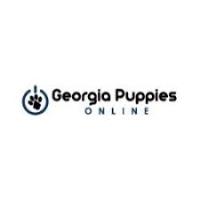 Georgia Puppies Online image 1