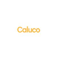 Caluco Custom Furniture image 2