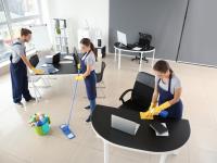 Lux Living Cleaners image 2