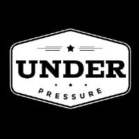 Under Pressure Property Services Inc image 4
