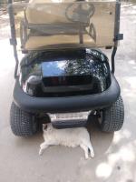 Salado Golf Cart Rentals image 8