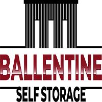 Ballentine Self Storage image 1