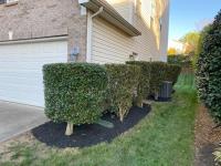 Cifuentes Landscaping Inc image 13
