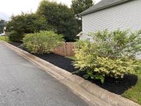 Cifuentes Landscaping Inc image 2
